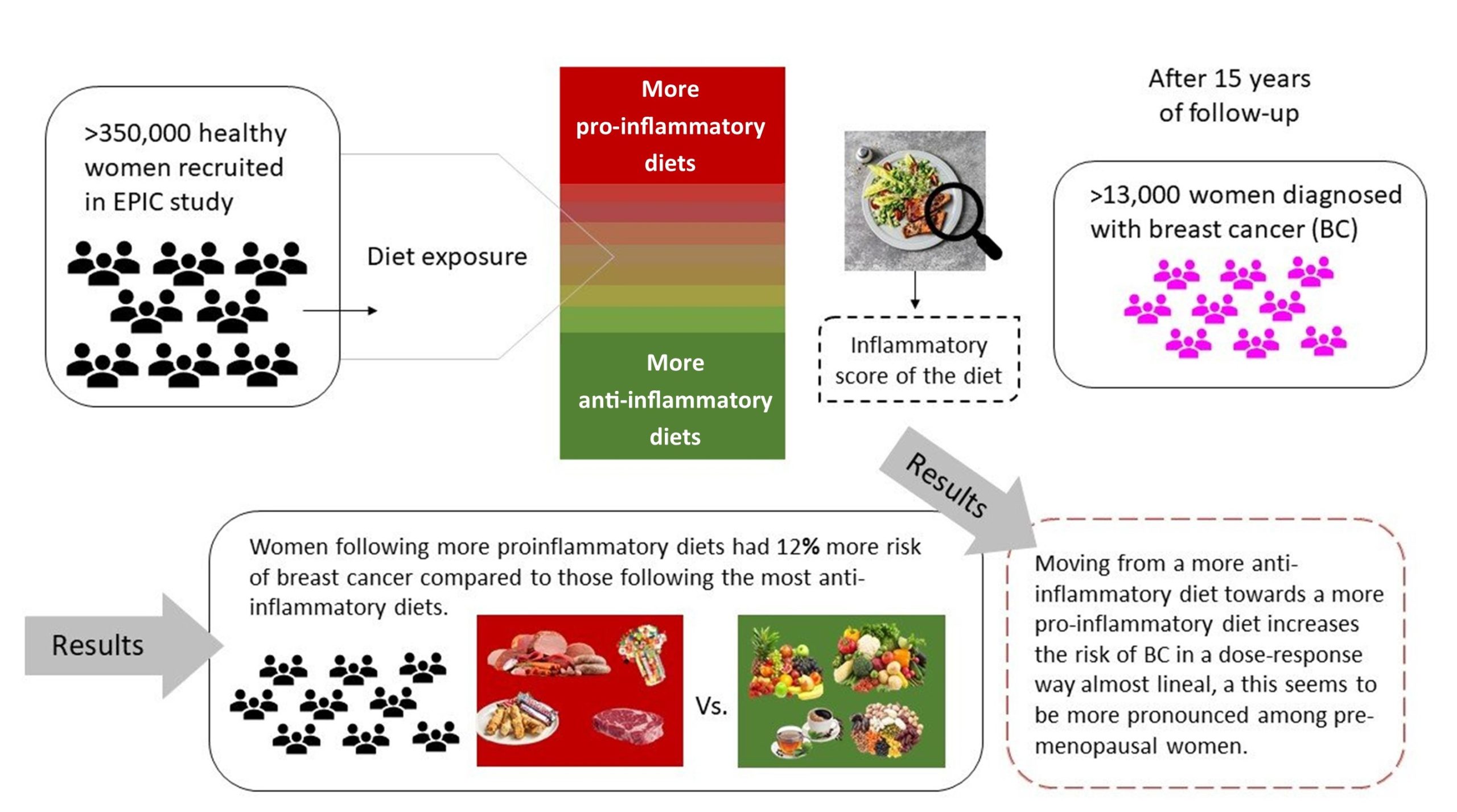 inflammation illustration.jpg